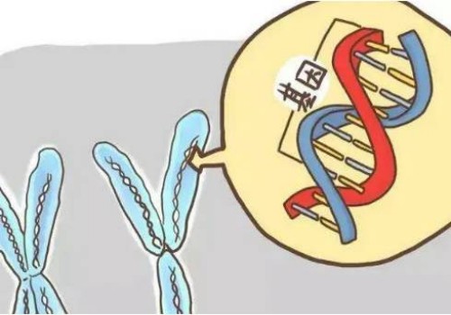 这些方法能够帮助判断精子质量，早了解早判断
